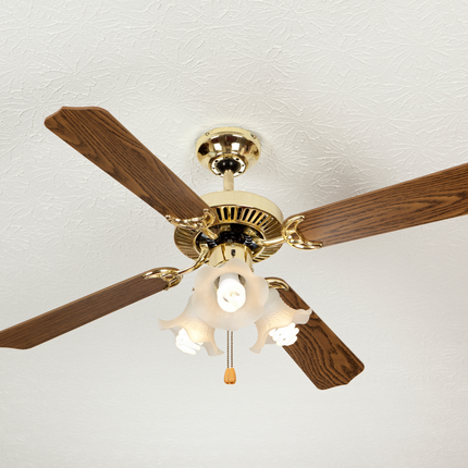 Collection image for: CEILING FANS
